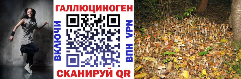 Псилоцибиновые грибы Magic Shrooms  mega   Кинель 